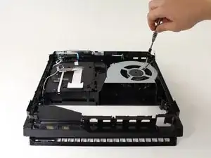Fan