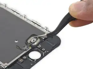 Home Button Assembly