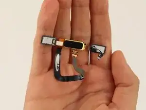 Home Button Assembly