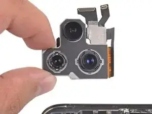 Rear-Facing Cameras