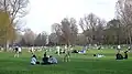 Die Wöhrder Wiese in Nürnberg, mit vielen Besuchern