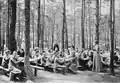 Früher gab es besondere Schulen im Wald, um Kinder vor Tuberkulose besser zu schützen.