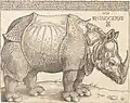 Dürer hat nie ein Nashorn gesehen, sondern nur Berichte gehört.