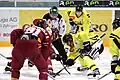 Bei einem Spiel der Krefeld Pinguine in den gelben Trikots