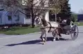 Eine Pferdekutsche der Pennsylvania Dutch