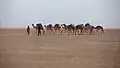 Eine Karawane im Jahr 1991, im Niger
