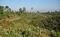Die Landschaft im Delta des Irrawaddy
