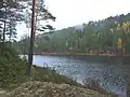Viele Flüsse durchziehen die Taiga.