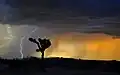 Sturm mit Blitz, in der Mojave-Wüste in Kalifornien