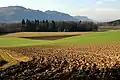 Acker bei Grafenstein im Bundesland Kärnten