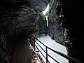 Der Weg durch die Aareschlucht ist auch bei Touristen beliebt.