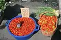 Chili-Schoten aus der Karibik