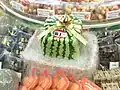 Rechteckige Melone in Japan. Sie wuchs in einem Würfel aus Plastikplatten.