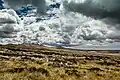 Die Landschaft auf Ostfalkland