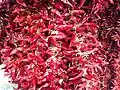 Ungarischer Paprika
