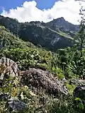 Die Berge im Landesinneren