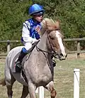 Wettreiten auf einem Pony