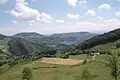 In diesem Naturpark in der Schweiz lernen Wisente, wie sie später in „Halbfreiheit“ leben sollen.