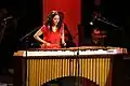 Aus dem Balafon entwickelte man die Marimba.