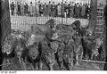 Der deutsche Löwenbändiger Alfred Schneider, im Jahr 1928