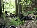 Umwelt-Verschmutzung: Jemand hat Reifen als Müll in einem Naturschutzgebiet abgeladen.