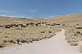 Die Geisterstadt Bodie in Kalifornien liegt im Steppen-Klima.