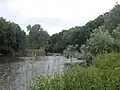 Im Naturschutzgebiet auf der Rabeninsel