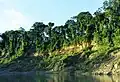 Im Nationalpark Manú in Peru