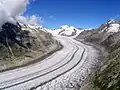 Der Große Aletschgletscher in den Berner Alpen