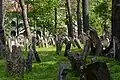 Auf dem alten jüdischen Friedhof