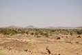 Eine Savanne im Diffa-Gebiet im Land Niger