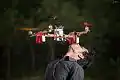 Jemand mag seine Flugdrone so sehr, dass er sie küsst.