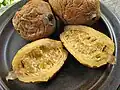 Frucht des Jenipapo-Baums