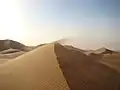 Der Wind bildet Sand-Dünen und schiebt sie langsam vor sich her.