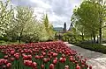 Tulpenbeet in einem kanadischen Park