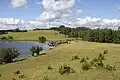 Kühe im Nationalpark der Braslaw-Seen