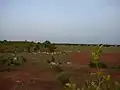 Im Dorf Brikama Ba in Mittelgambia