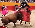 Der Picador