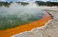 Der Champagne Pool ist ein natürlicher See: Hier kommt Hitze aus der Erde nach oben. Die Farbe kommt von Metall-Verbindungen.