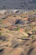 In einem Nationalpark in den USA: Asche aus einem Vulkan hat für dunkle Stellen gesorgt.
