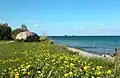 Am Nordstrand