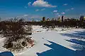 Winter im Central Park.
