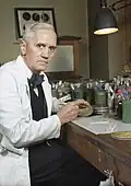 Der Mediziner Alexander Fleming: Er hat das Penizilin entdeckt, eine wichtige Arznei.