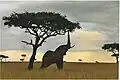 Dieser Elefant holt sich sein Futter von einem Baum.