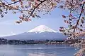 Der Vulkan Fuji ist der höchste Berg Japans.