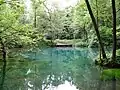 Aus dieser Karstquelle stammt der Fluss Rhume.