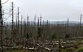 Schäden auf dem Brocken in Niedersachsen
