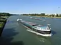 Der Rhein bei Karlsruhe