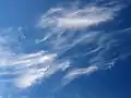 Federwolken