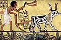 Vor 3800 Jahren: Pflug im Alten Ägypten.